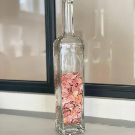 L'hallali A Centre Lägenhet *