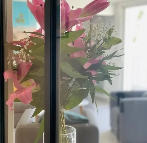 Apartamento L'hallali A Centre *