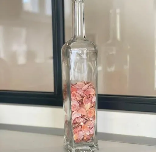 L'hallali A Centre Apartamento *